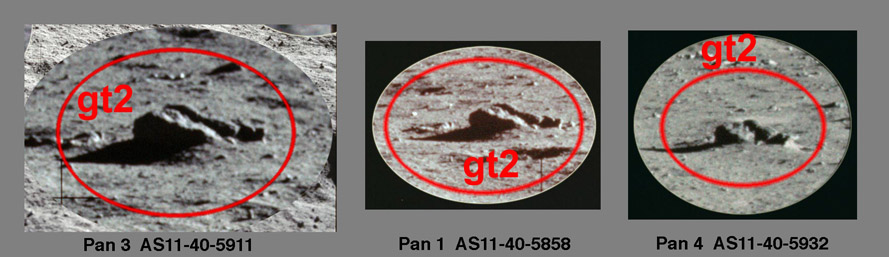 Portraits of gt2 from the Pan 1, 3, and 4
sites