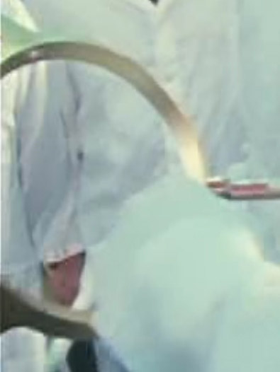 Detail from the
training fil at 27:10